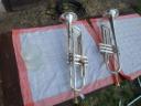 trumpety na suchu
